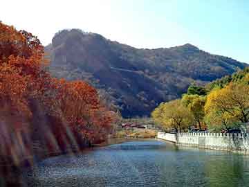 管家婆黑白马报图库，油管吊卡